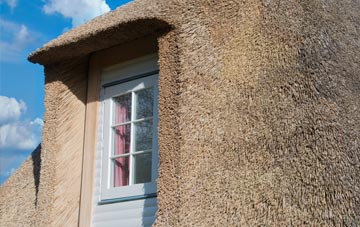 Castlerock thatch roof disadvantages